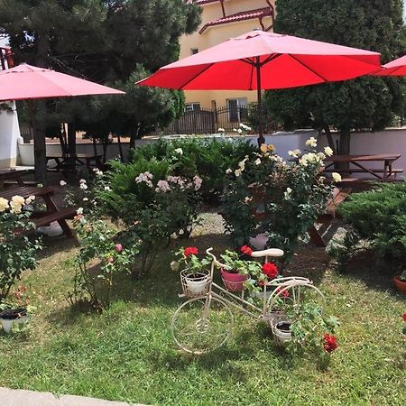 Pensiunea Acf Tineretului Hotel Костинещи Екстериор снимка